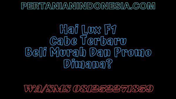 Hai Lux F1 Cabe Terbaru Beli Murah Dan Promo Dimana?